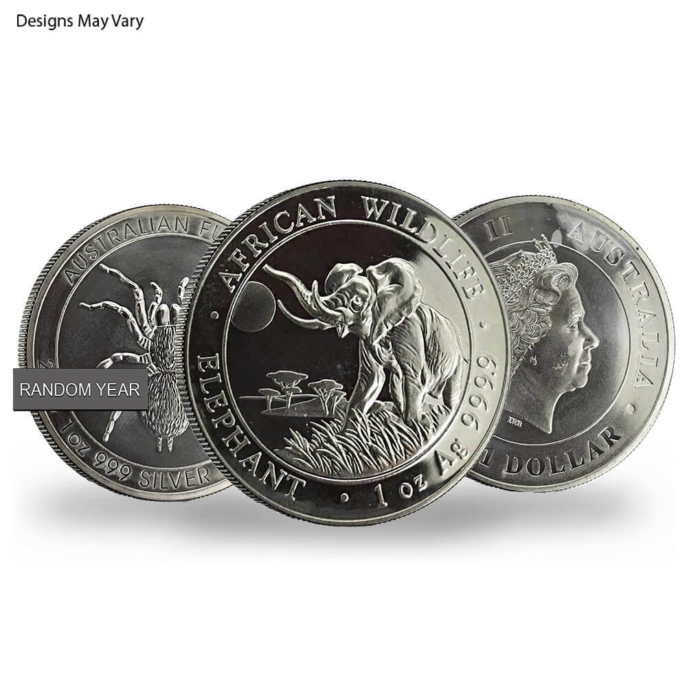 1 oz Silver Coin Random Mint .999+ Fine (Milky, Scruffy, Toned)