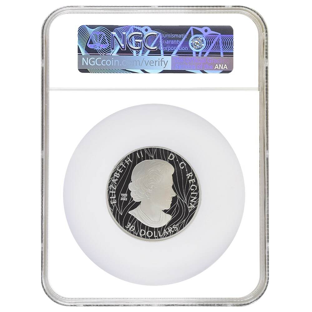 2023 Canada 2 oz Striking Bald Eagle Proof Silver Coin NGC PF 70 UCAM (Claudio D'Angelo) thumbnail 2
