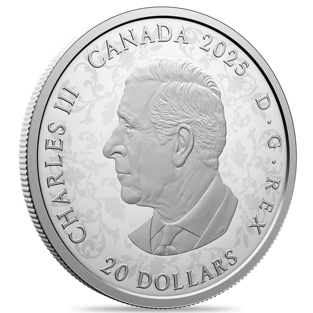 2025 Canada 1 oz Strength and Abundance Canada's Diversity Silver Coin thumbnail 3