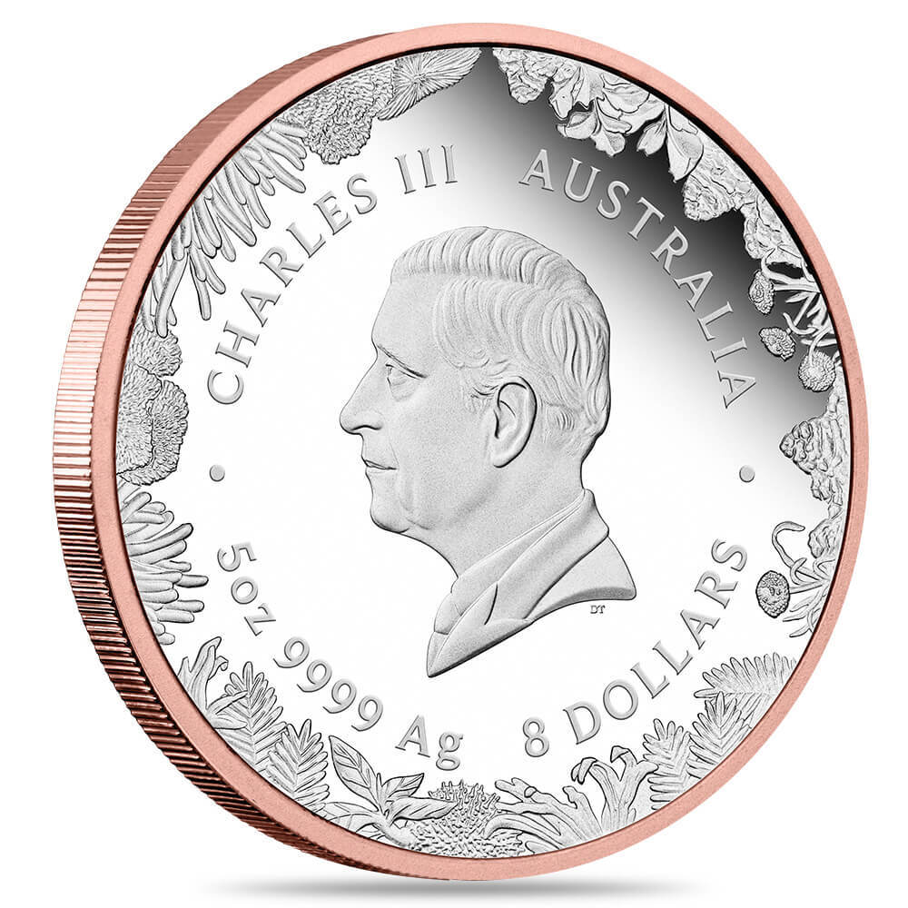2026 5 oz Proof Silver Wonders of Australia The Outback Kangaroo Double Gilded Coin Perth Mint thumbnail 3