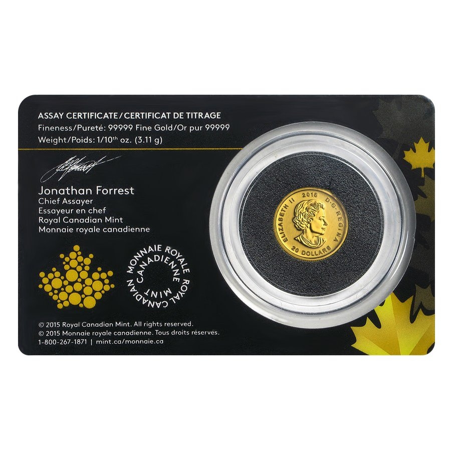 2016 1/10 oz Canadian Gold Growling Cougar - Call of the Wild $20 .99999 Fine Gold (In Assay) thumbnail 2